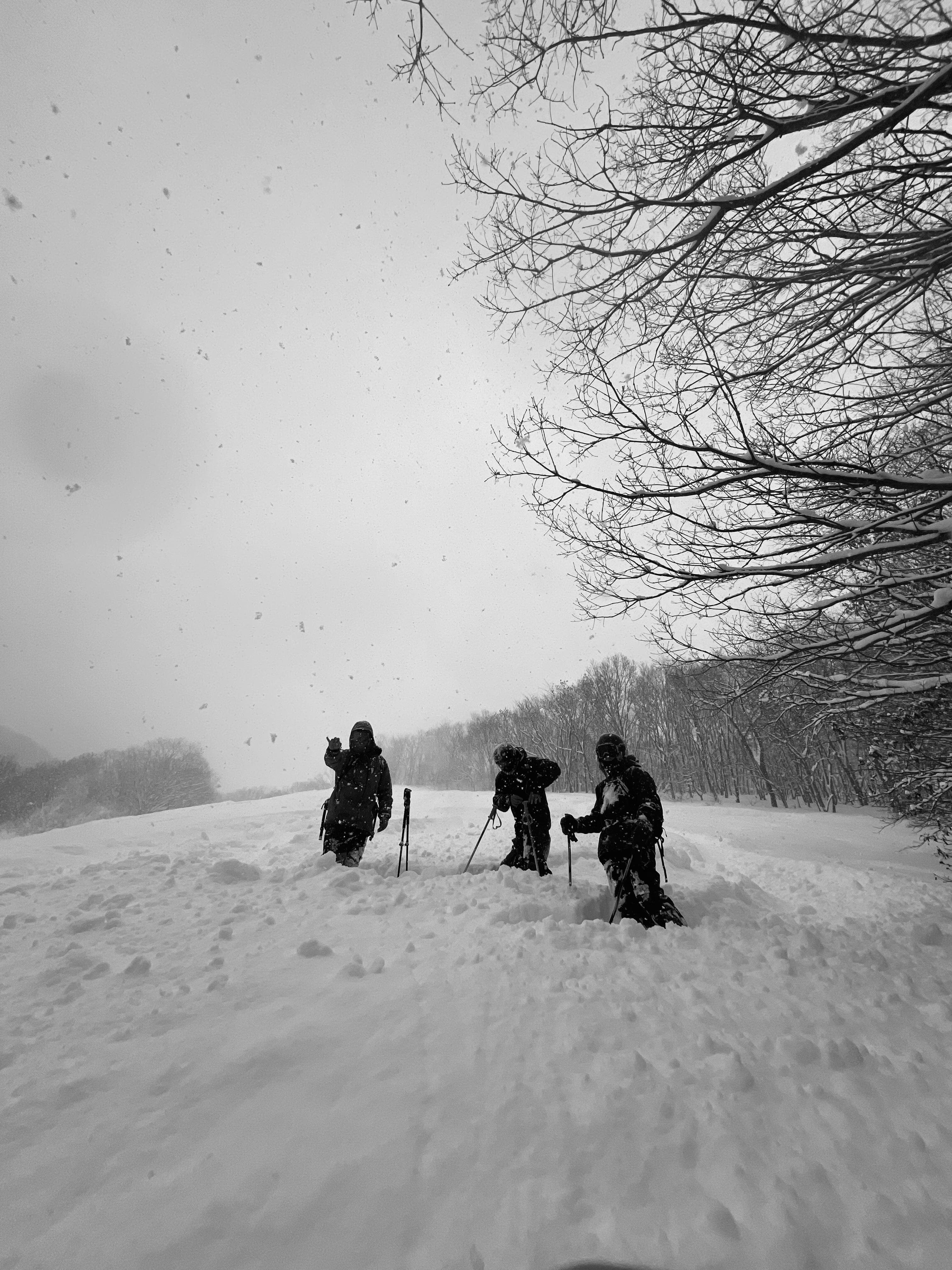 Ski group in deep powder snow Japan