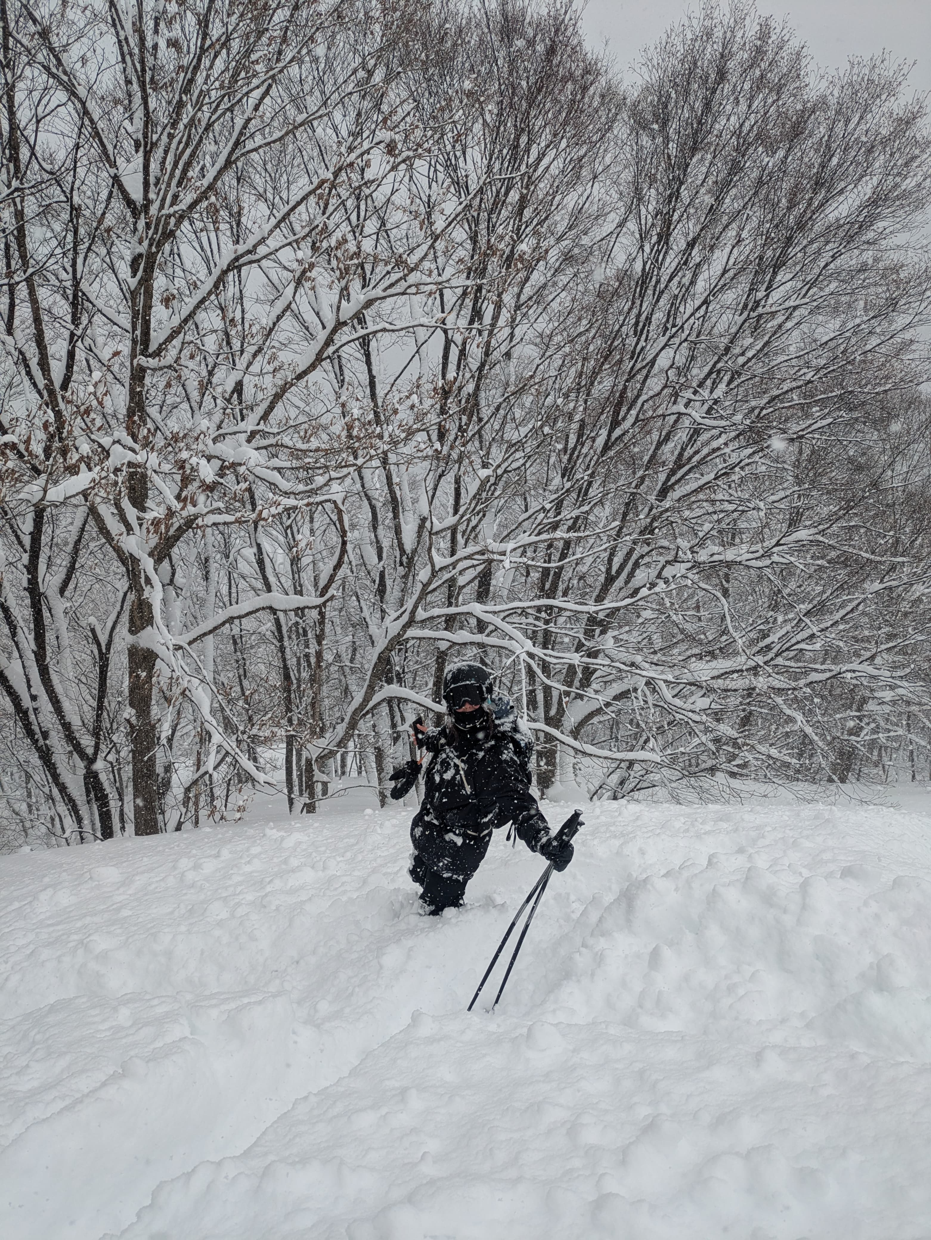 Deep powder skiing Japan